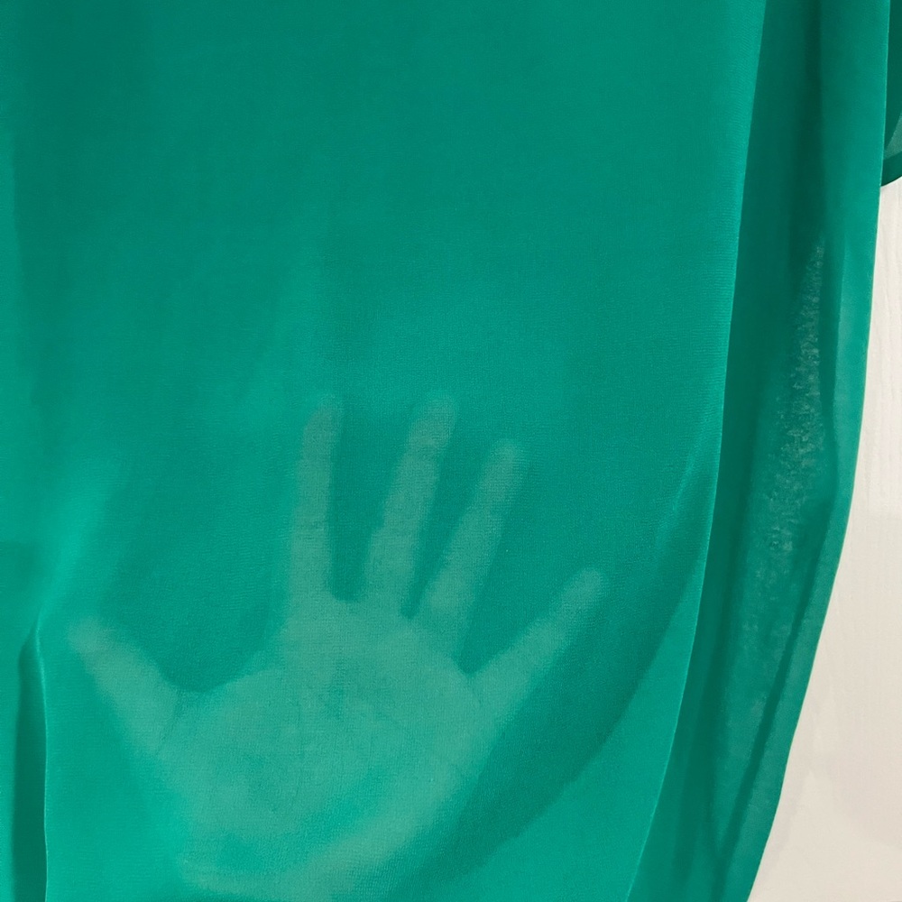 SWAK V-Neck Sheer Top - Picture 3 of 6